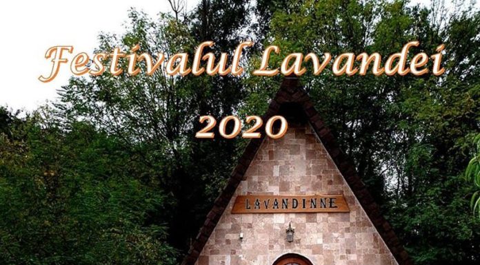 Pe 16 iunie, Festivalul Lavandei, la Târgu Jiu