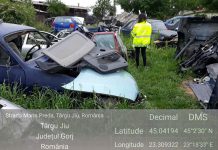 Comisarii Gărzii de Mediu Gorj au liber la confiscări!