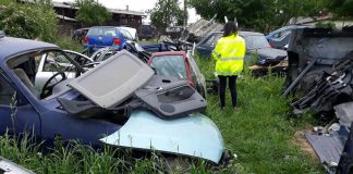 Comisarii Gărzii de Mediu Gorj au liber la confiscări!