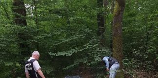 Gunoaie aruncate în pădurea de la Rasovița