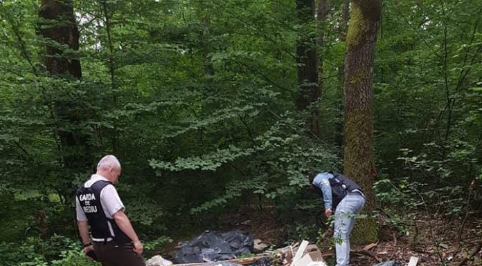 Gunoaie aruncate în pădurea de la Rasovița