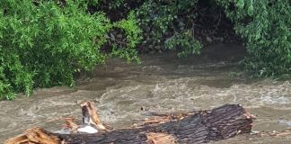 Dezastrul din Valea Jiului