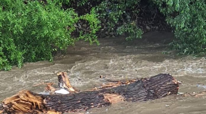 Dezastrul din Valea Jiului