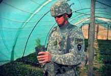 NATO URBAN. AGROINTELLIGENCE. MILITARY FOOD. AGRIBUSINESS NATO