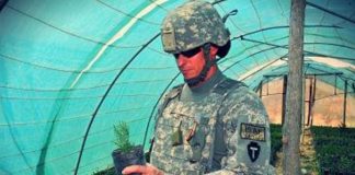 NATO URBAN. AGROINTELLIGENCE. MILITARY FOOD. AGRIBUSINESS NATO