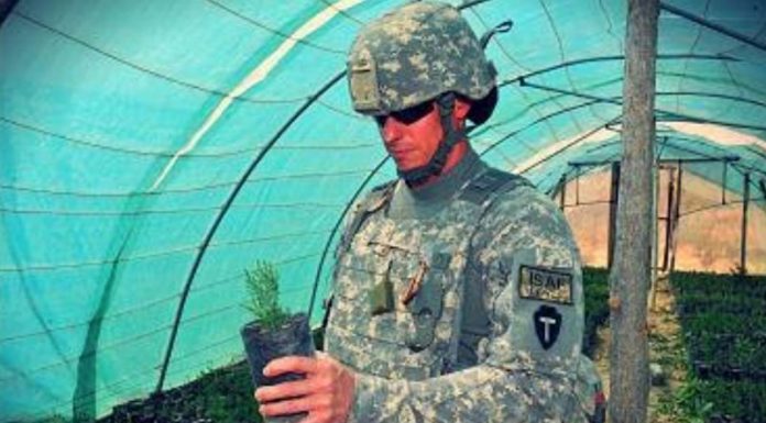 NATO URBAN. AGROINTELLIGENCE. MILITARY FOOD. AGRIBUSINESS NATO