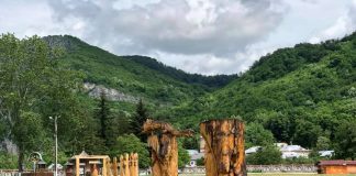 Se dă startul unei noi ediții a taberei de sculptură „Simboluri Dacice în Arta Lemnului din România”