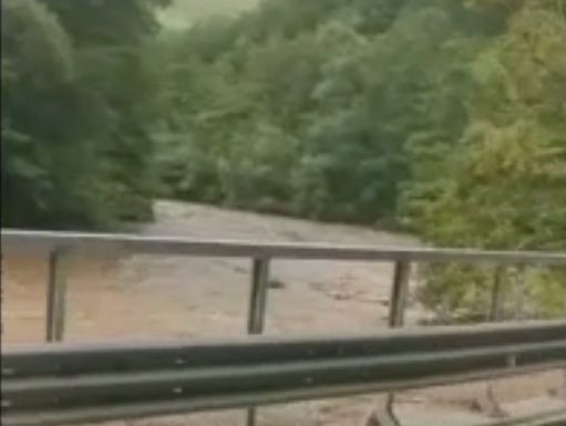 VIDEO: Jiul face prăpăd!