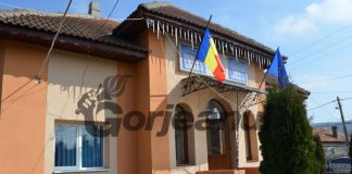 Post vacant de administrator public la Primăria Borăscu, scos la concurs