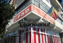 PSD Gorj, liber la alianțe electorale