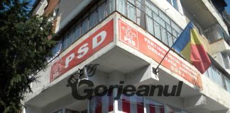 PSD Gorj, liber la alianțe electorale