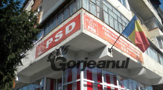 PSD Gorj, liber la alianțe electorale