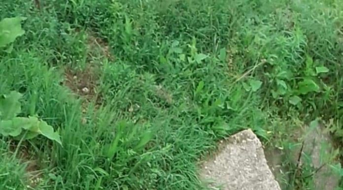 Consilier liberal din Vladimir, reclamat că deversează în stradă resturile din gospodărie!