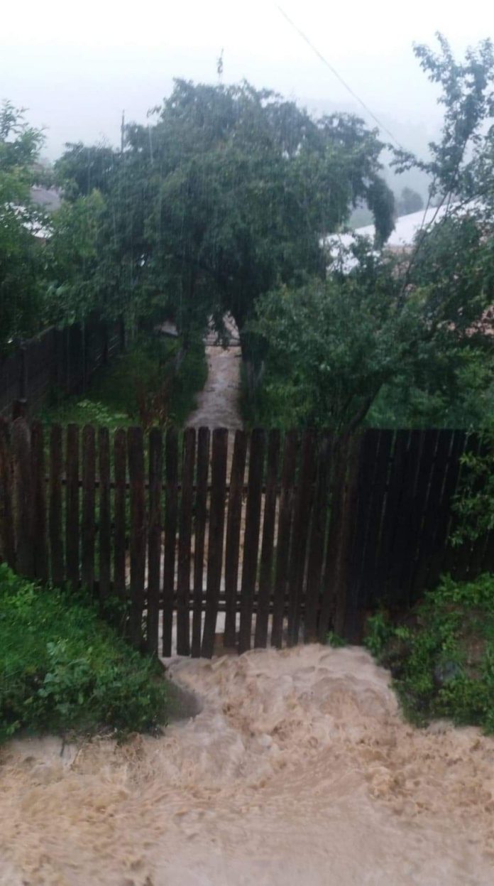 received_3307952799257256