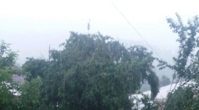 Video: Viitură la Vladimir, gospodării pline de apă, nicio măsură a autorităților!