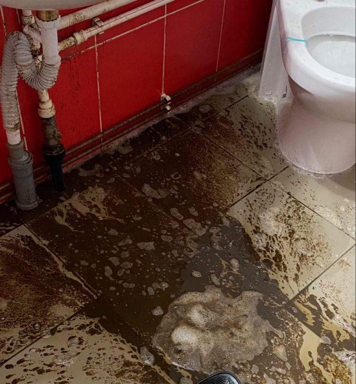 received_4378227768854101