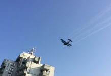 Primăria Târgu Jiu face dezinsecție de 215.000 de lei