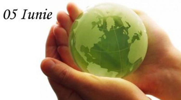 Elevi din Gorj, în finala online a unui concurs național de protecția mediului