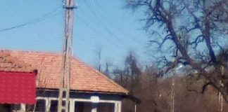 Mașina Primăriei Vladimir, la dispoziția cumnatului edilului local