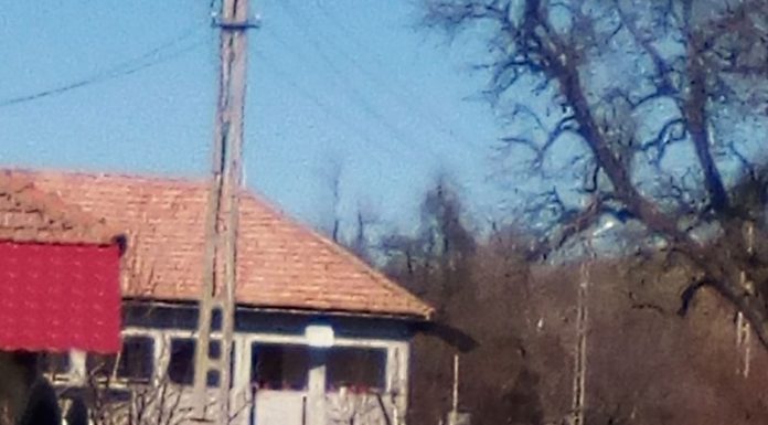 Mașina Primăriei Vladimir, la dispoziția cumnatului edilului local