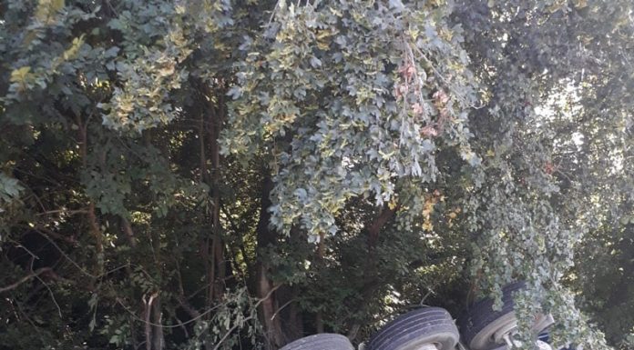 Accident cu trei răniți, provocat de un șofer de tir