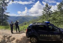 Amendați după ce au intrat cu mașinile pe pajiștea alpină din Runcu