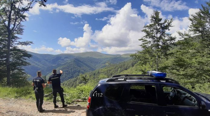Amendați după ce au intrat cu mașinile pe pajiștea alpină din Runcu