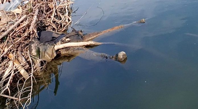 Cadavrul unui bărbat de 50 de ani, găsit în Gilort