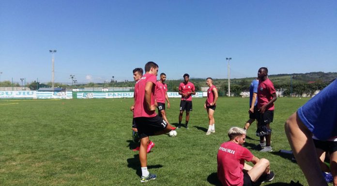 14 noutăți în lotul Pandurilor