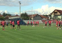 Optimismul domnește la Pandurii: ,,Vom avea o echipă mult mai puternică”