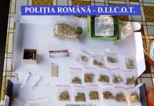 Capul rețelei de trafic de droguri, destructurată de DIICOT Gorj, fiu de procuror