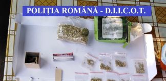 Capul rețelei de trafic de droguri, destructurată de DIICOT Gorj, fiu de procuror