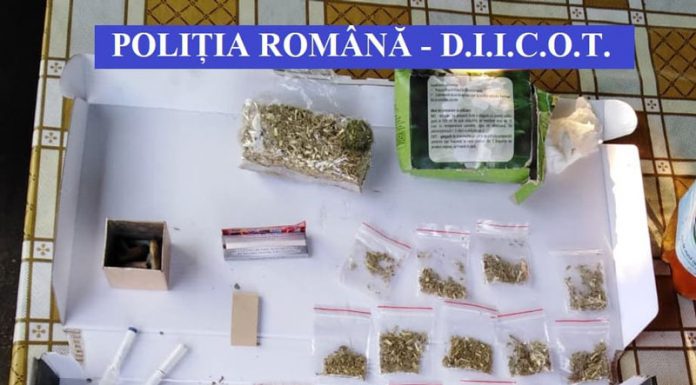 Capul rețelei de trafic de droguri, destructurată de DIICOT Gorj, fiu de procuror