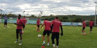 Mai puține amicale pentru Pandurii