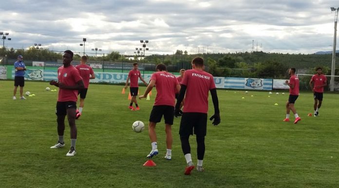 Mai puține amicale pentru Pandurii