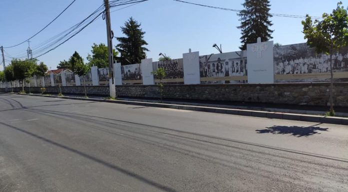 Asfalt nou pe Narciselor și 200 de locuri de parcare