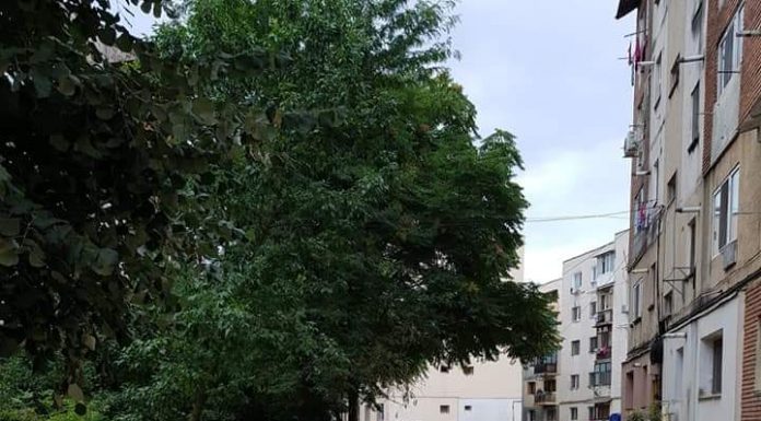 Start lucrărilor la canalizarea din zona Comuna din Paris!