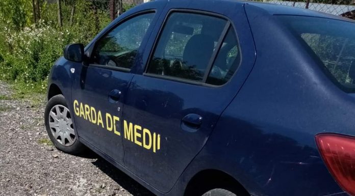 Amenzi de 310.000 de lei, aplicate de Garda de Mediu Gorj