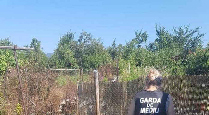 Verificări la o pensiune din zona Novaci