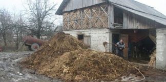 Agricultura pe înțelesul tuturor – Gunoiul de grajd – o comoară a fermierilor