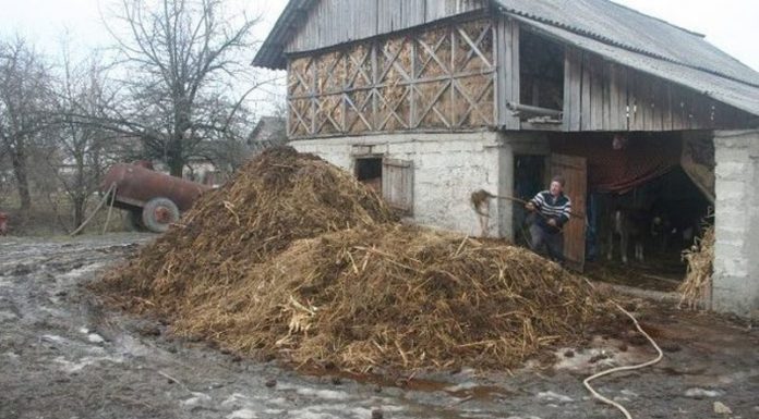 Agricultura pe înțelesul tuturor – Gunoiul de grajd – o comoară a fermierilor