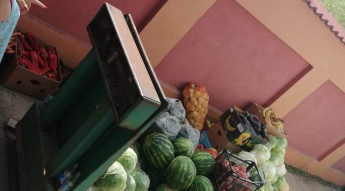 FOTO: Polițiștii din Motru au confiscat aproape o tonă de fructe și legume