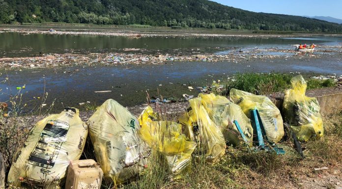 FOTO: Ecologizare la barajul de la Vădeni