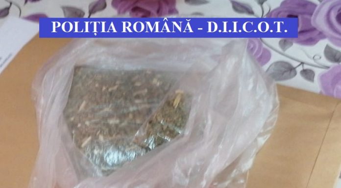 Șapte tineri arestați preventiv după descinderi