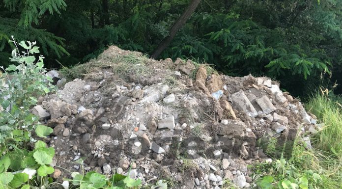 Primăria Fărcășești amendată pentru deșeuri aruncate în pădure! Consilier amenințat cu levierul!