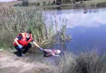 VIDEO interzis cardiacilor: Înecat, scos din Lacul Tismana!