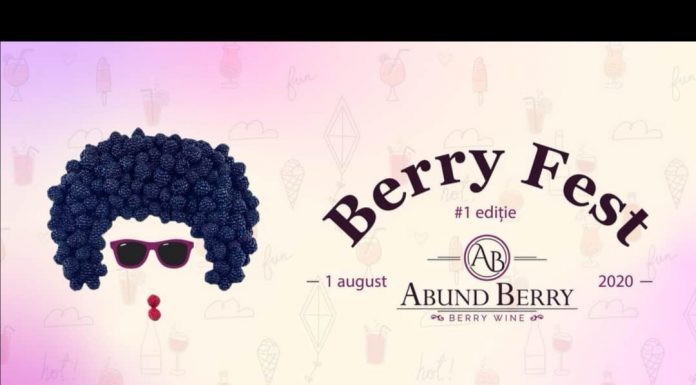 Festivalul Berry Fest de la Țicleni, amânat pentru data de 1 august