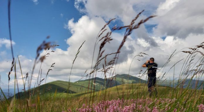 Mașini de off road, depistate de jandarmi pe pajiștea alpină din Runcu
