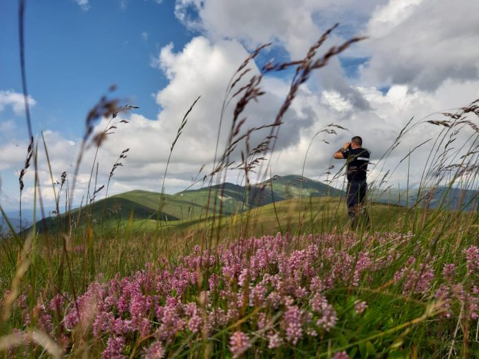 WhatsApp Image 2020-07-05 at 21.10.19-1