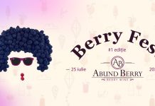 Sâmbătă, Festivalul Berry Fest, la Țicleni
